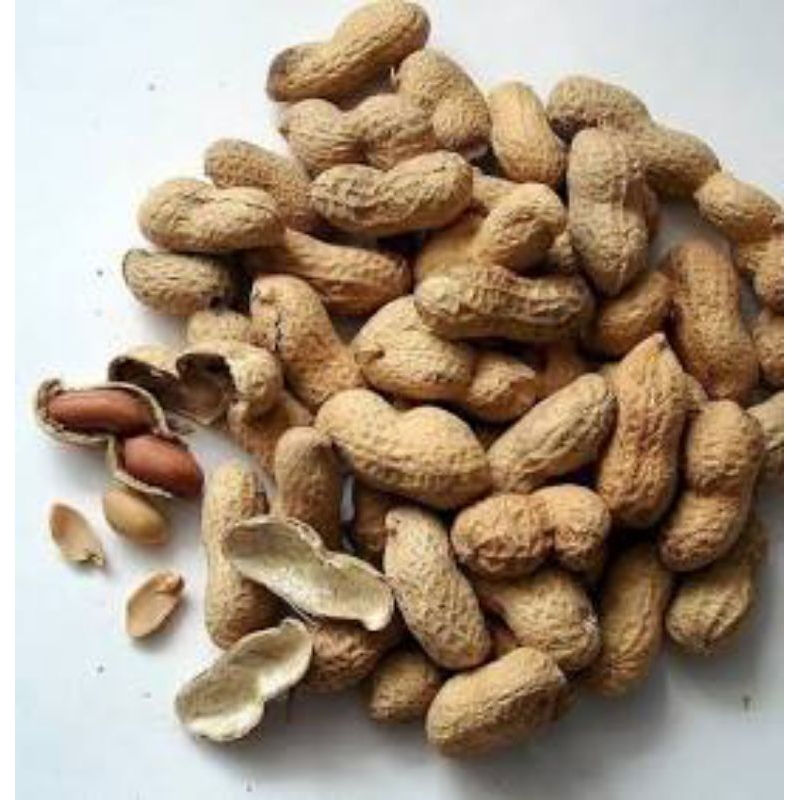 

kacang kulit sangrai gurih 250Gr