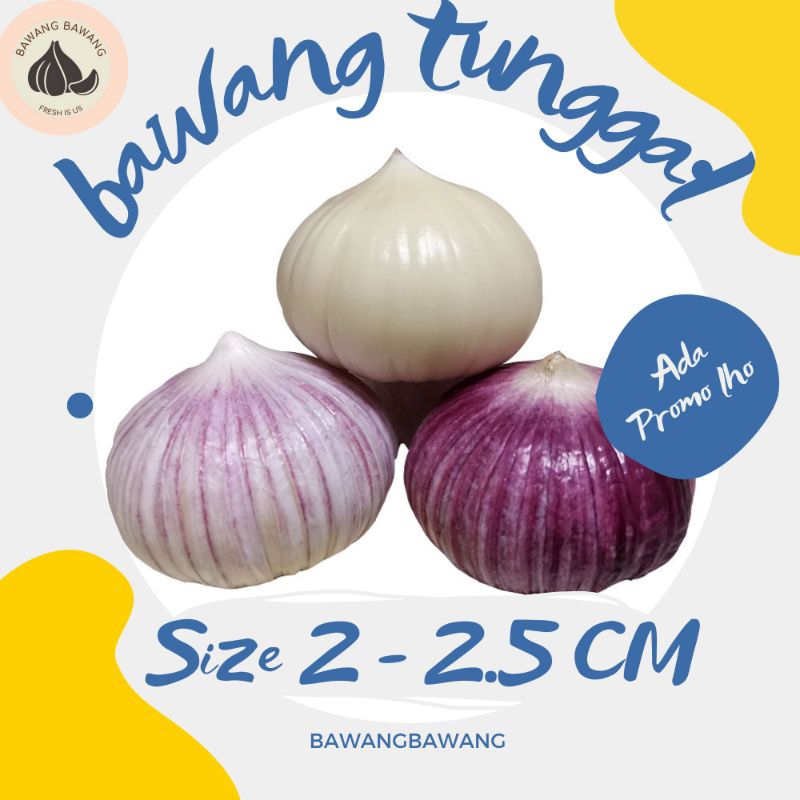 

Bawang putih tunggal