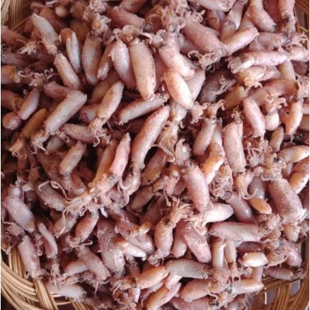 

Cumi-cumi asin 100 gr