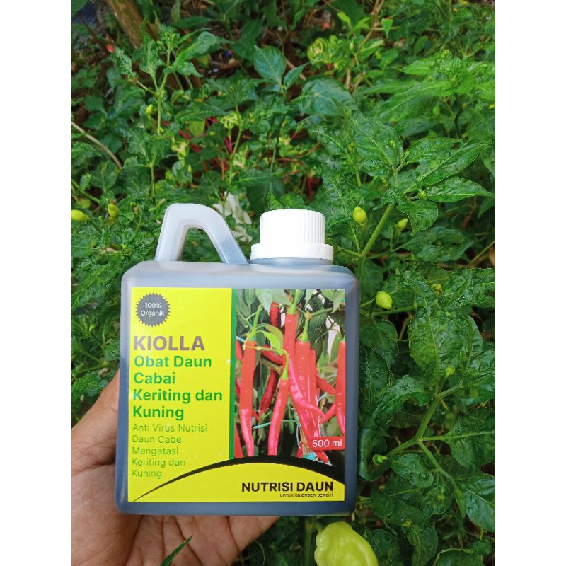 KIOLLA - Pupuk obat bulai cabai 500ML