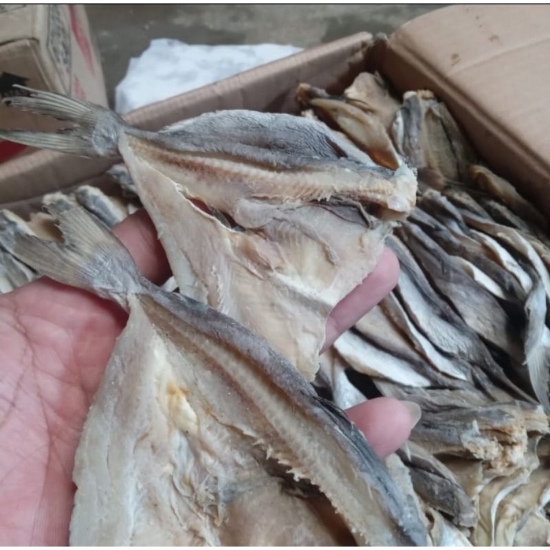 

ikan asin jambal roti kecil,empuk dagingnya 500Gram