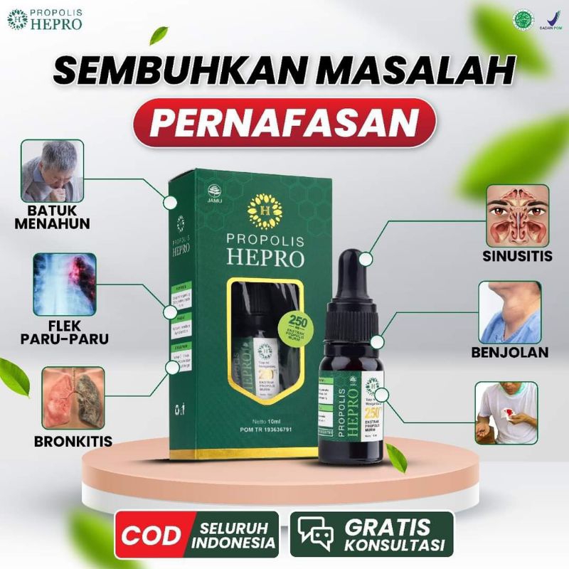 Propolis Hepro Propolis Trigona Original