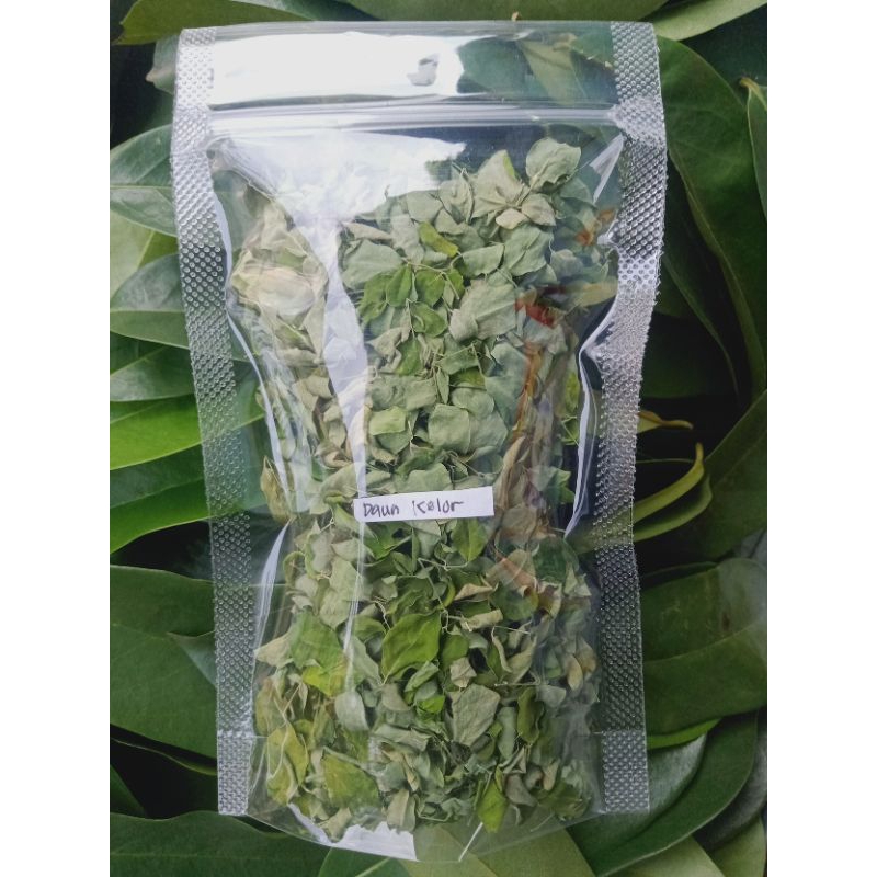 

DAUN KELOR KERING ORGANIK