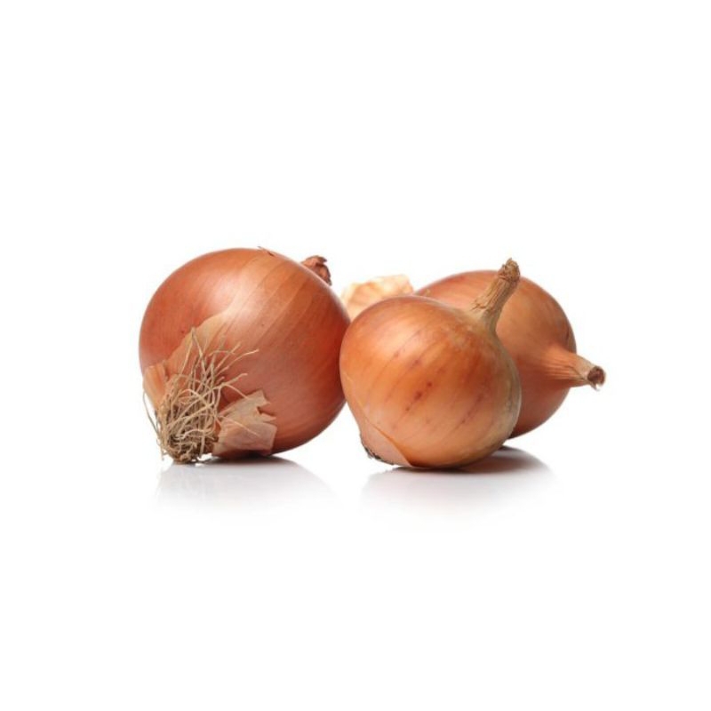 

BAWANG BOMBAY