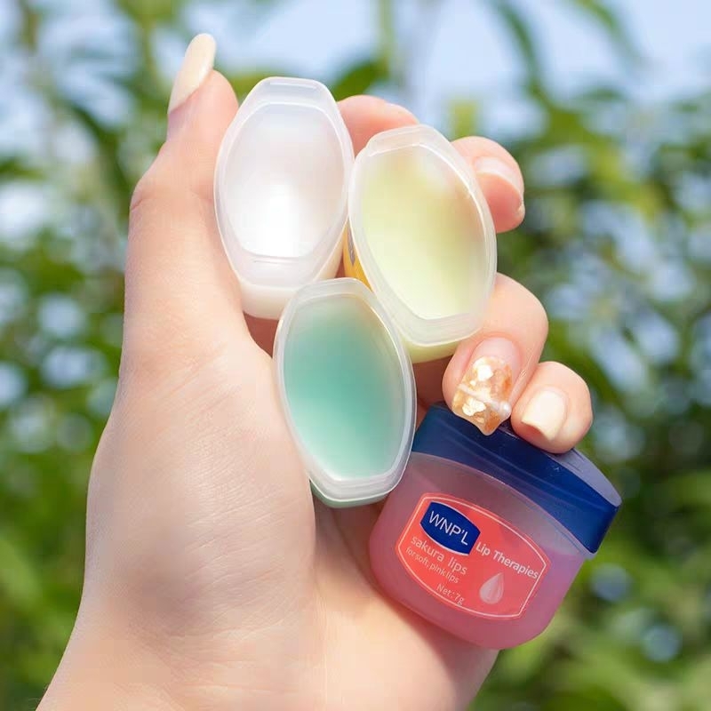 WNPL VASELINE LIP BALM AVOCADO HONEY ROSE PELEMBAB BIBIR KERING ISI 6pcs 6in1