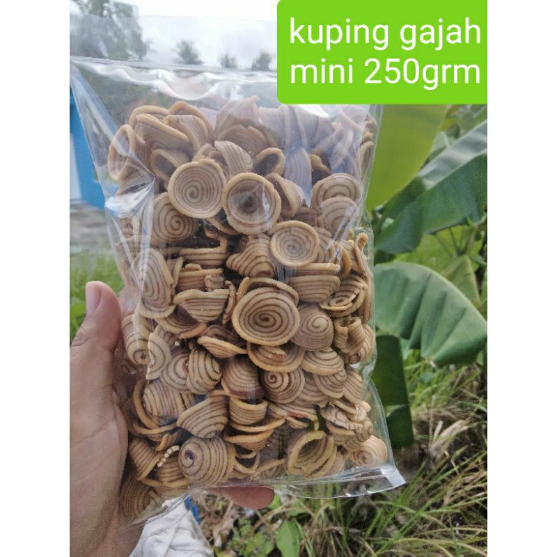 

kuping gajah mini 250gr