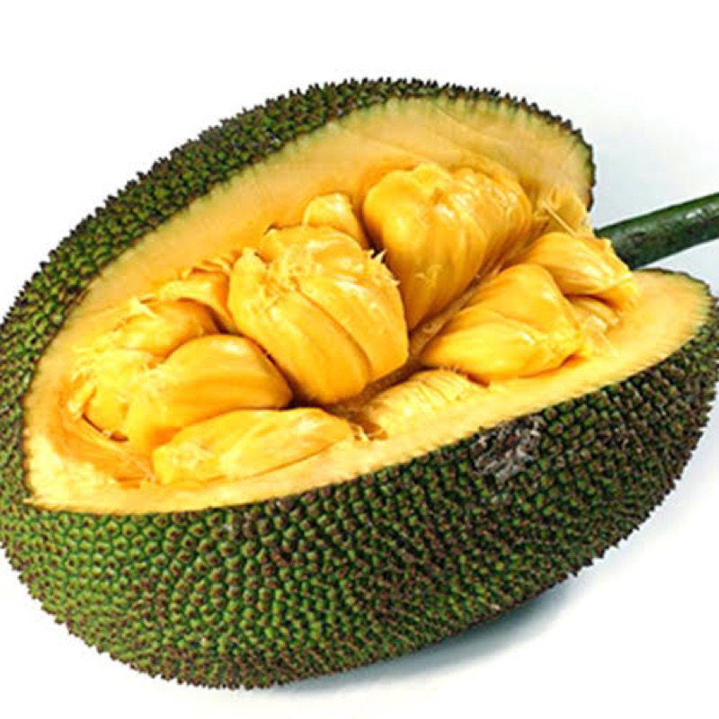 

Buah nangka | nangka vietnam manis | nangka madu vietnam utuh 9 kg