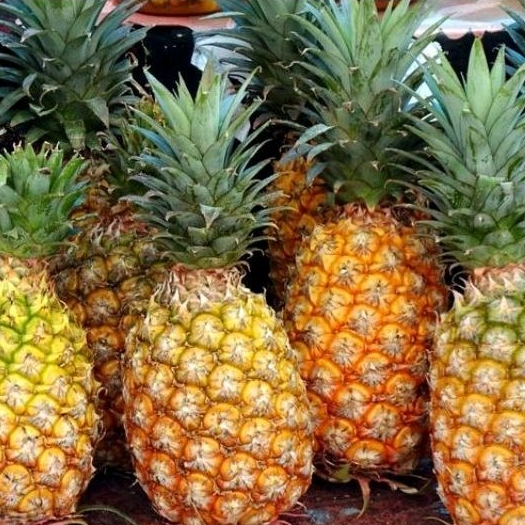 Nanas Kuning Rasa Spesial Spy