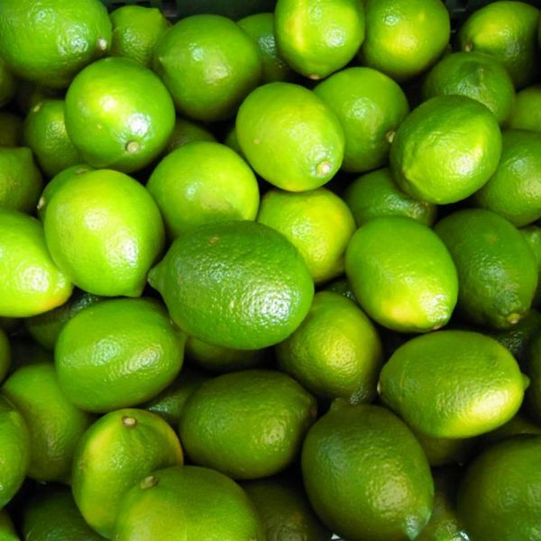 

jeruk lemon california jumbo fresh 1 kg