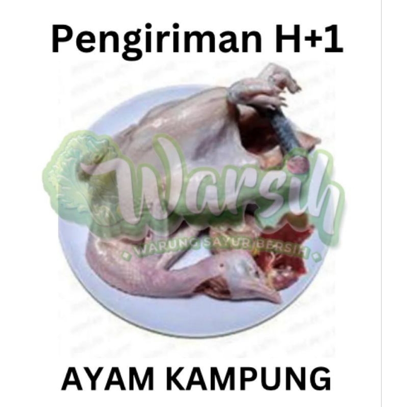 

WARSIH • AYAM KAMPUNG 1 EKOR (termasuk ati ampla)