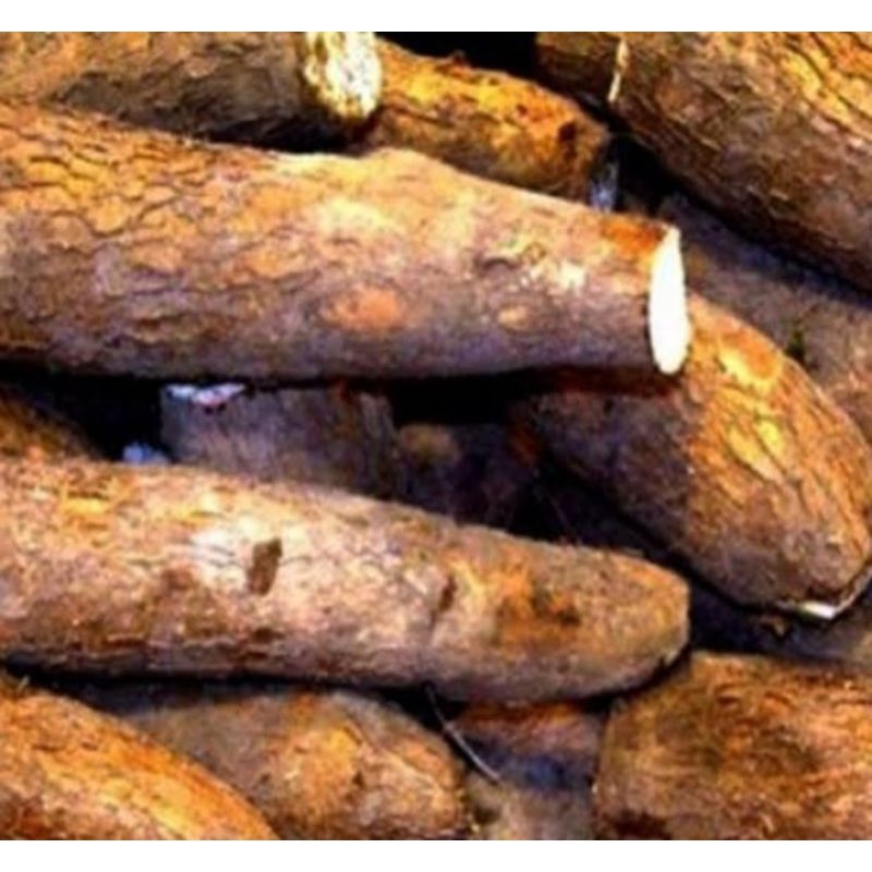 

singkong kuning mentah/singkong mentah 1 kg