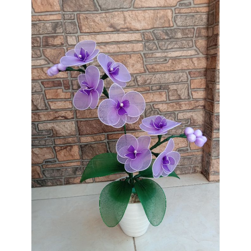 Bunga hias Stoking /bunga anggrek