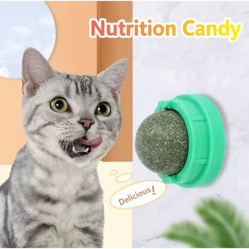 MAINAN KUCING BOLA CATNIP RITATING CATNIP BALL CAT CANDY