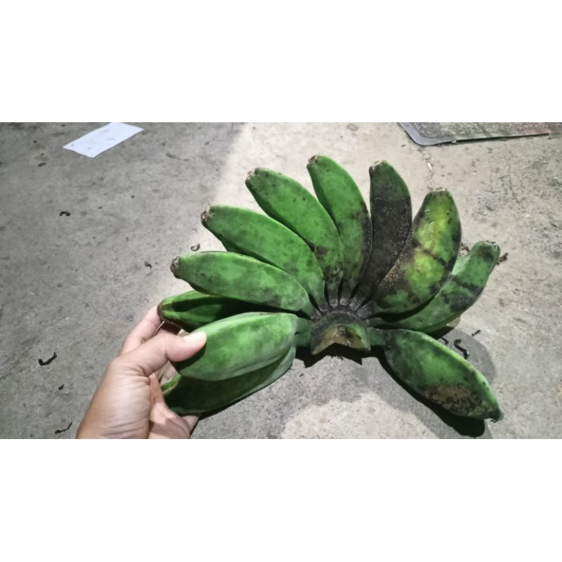 plastik bungkus buah kecil