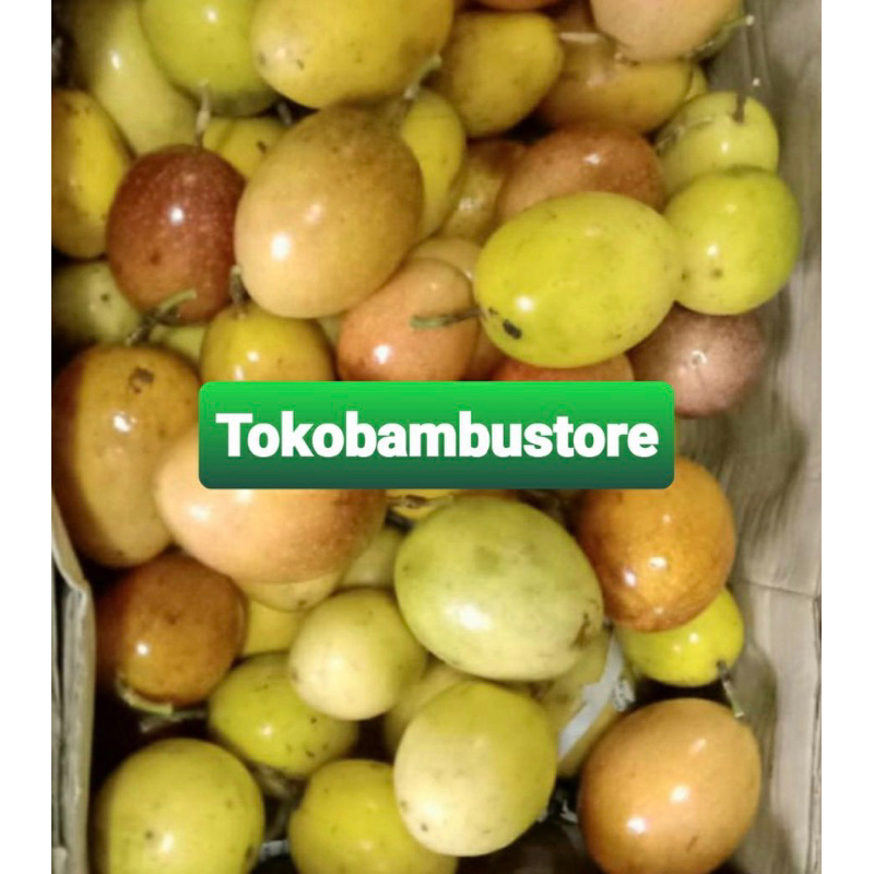 

Buah markisa kuning segar perik langsung 1 kg
