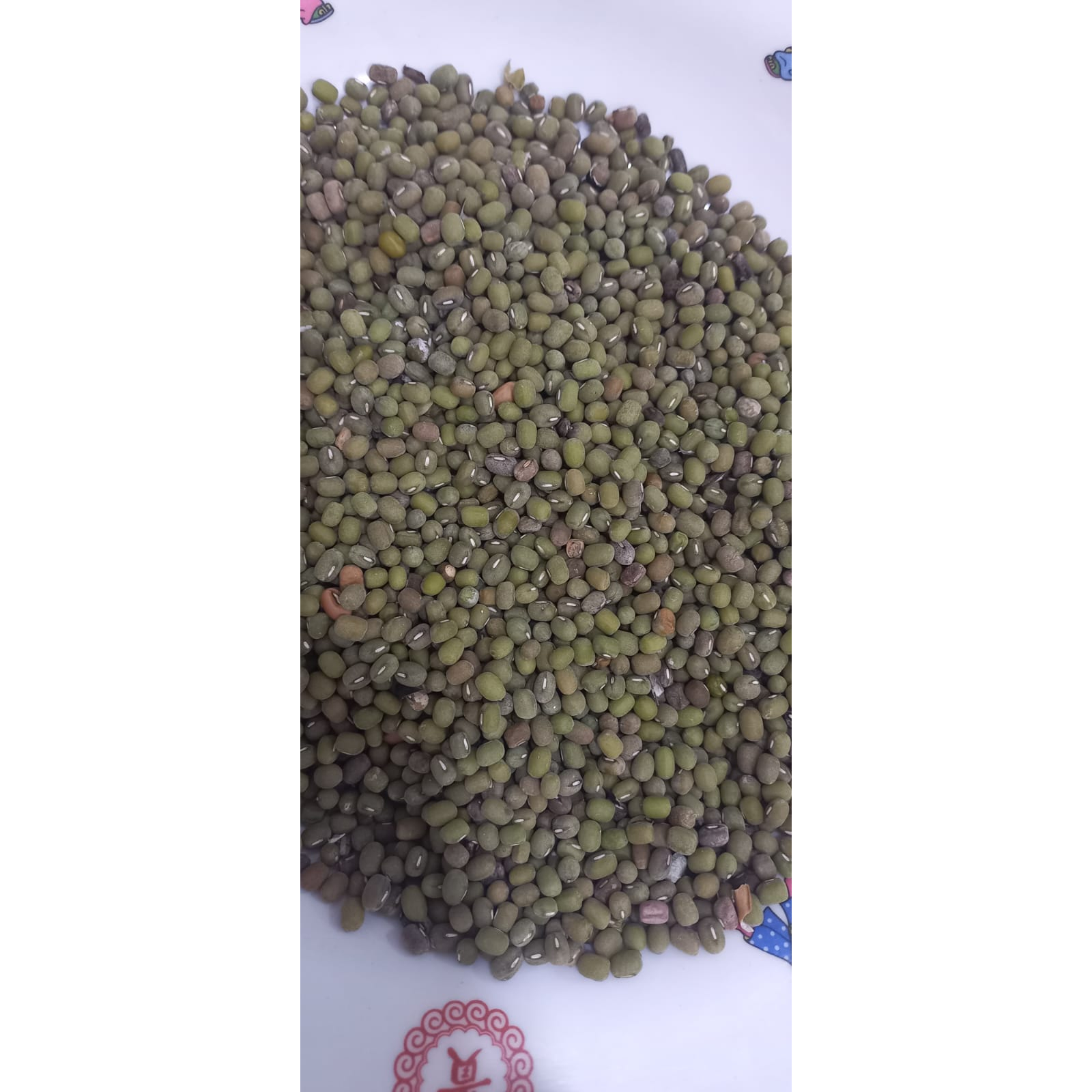 

kacang hijau buram 25kg grosir murahh