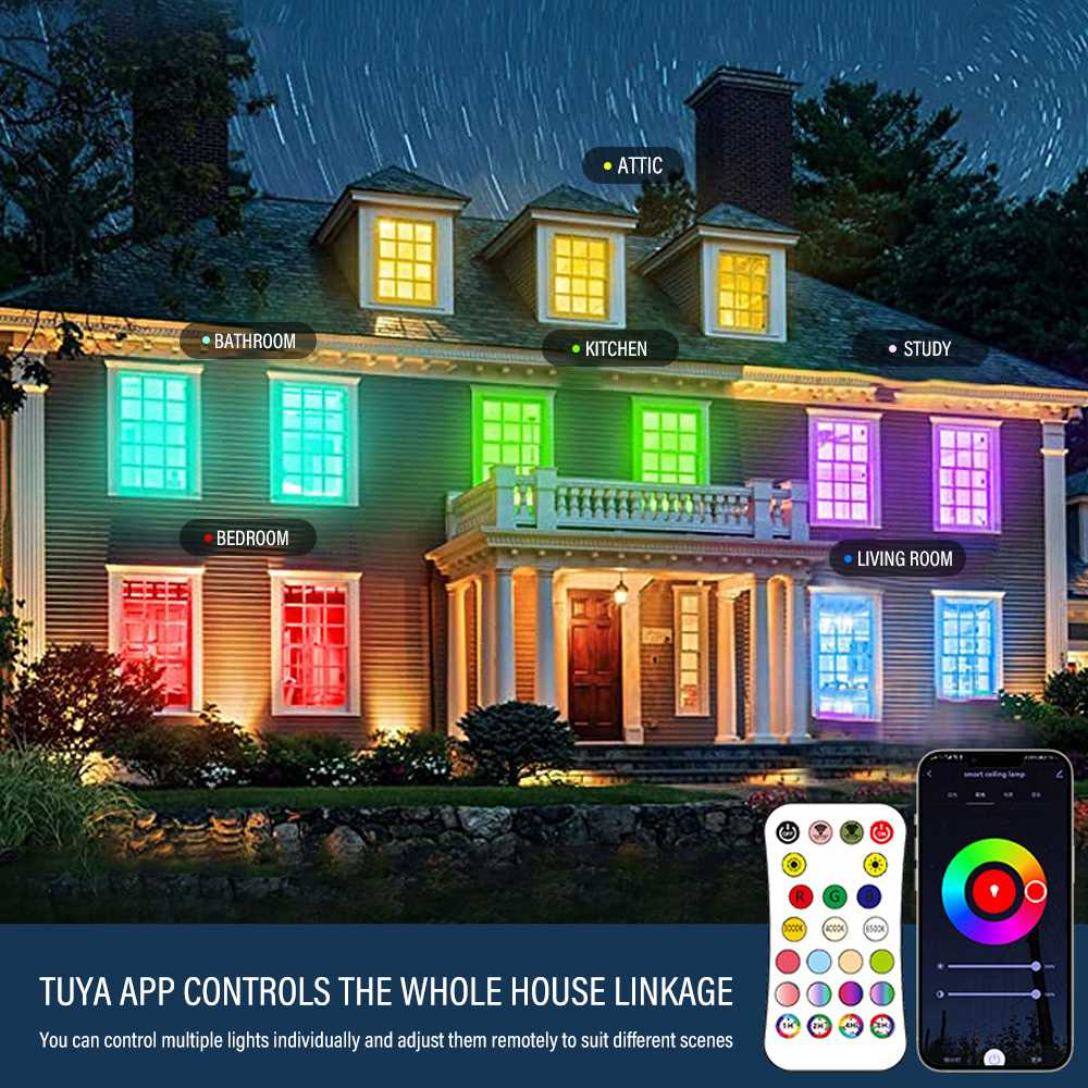 Lampu Plafon Minimalis LED Smart Lamp RGBCW 240V 24W Lampu Warna Warni Mode Cerdas Kontrol Suara Berkualitas