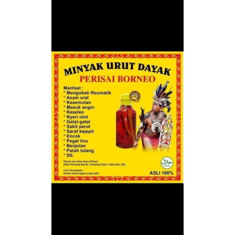 minyak urut dayak khas kalimantan