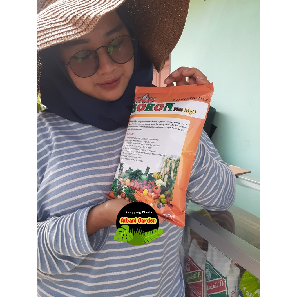 1 Kg Pupuk Juragan Boron Kuning Plus Mgo Micro Pertilizer