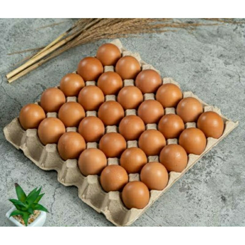 

TELUR AYAM NEGRI OMEGA 3 MURAH DAN BERKUALITAS (ISI 30 BUTIR)
