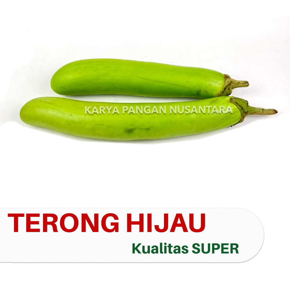 

SAYUR TERONG HIJAU TERUNG HIJAU SAYURAN SEGAR 500 GRAM