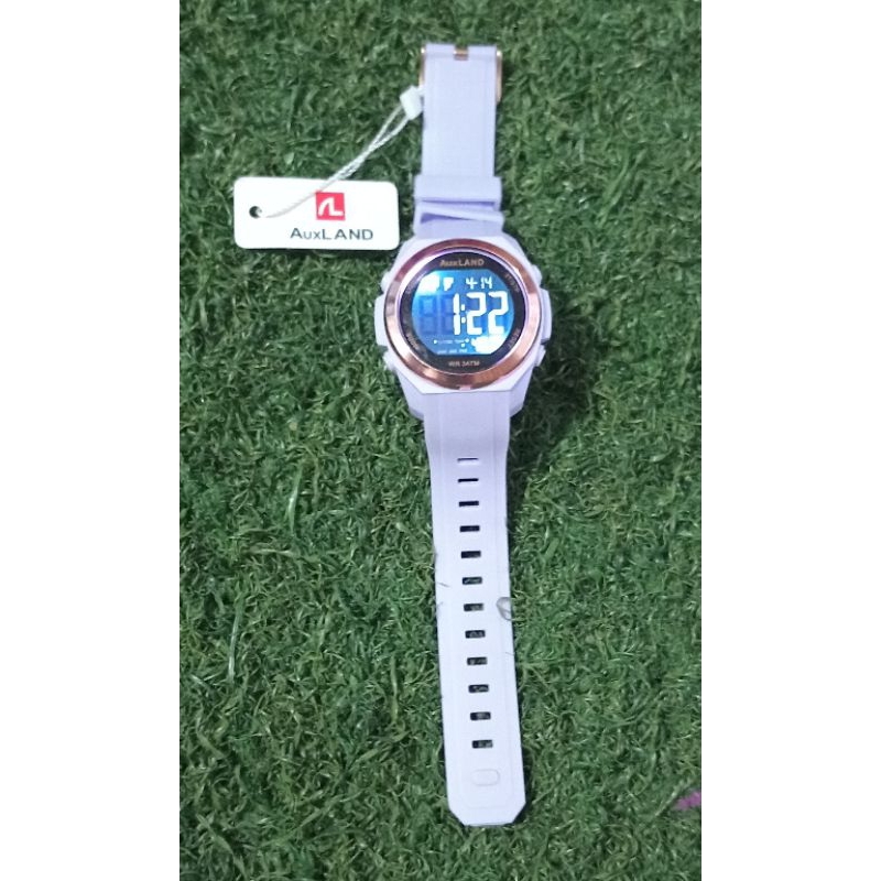 AuxLand Watch