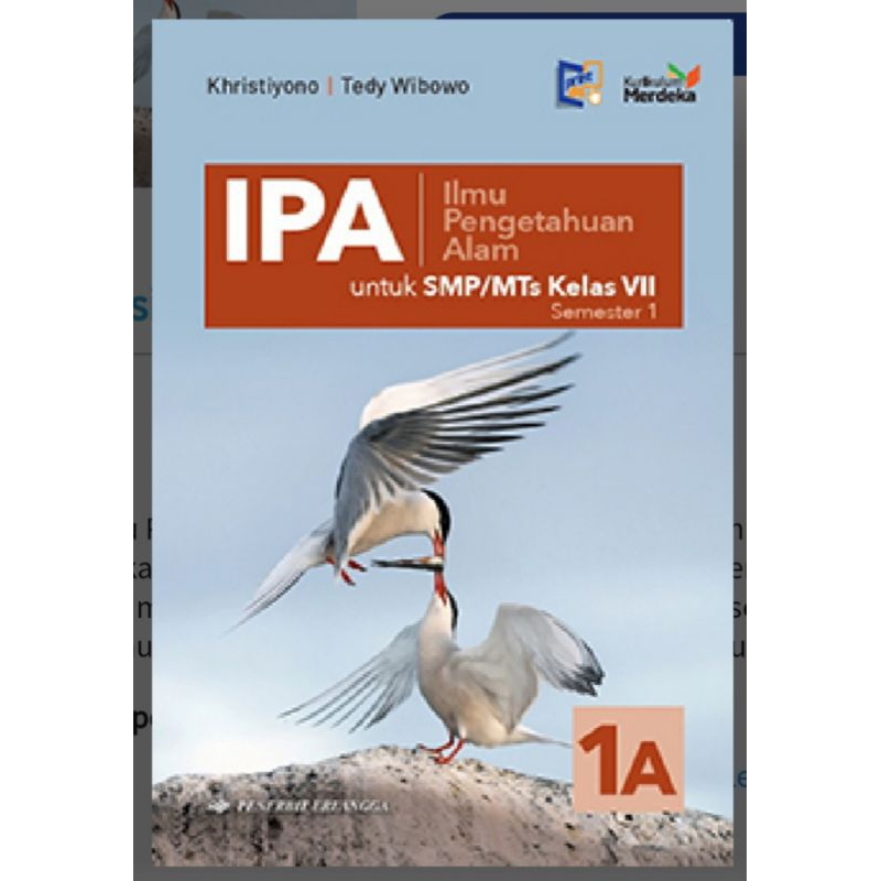IPA Merdeka untuk SMP Erlangga
