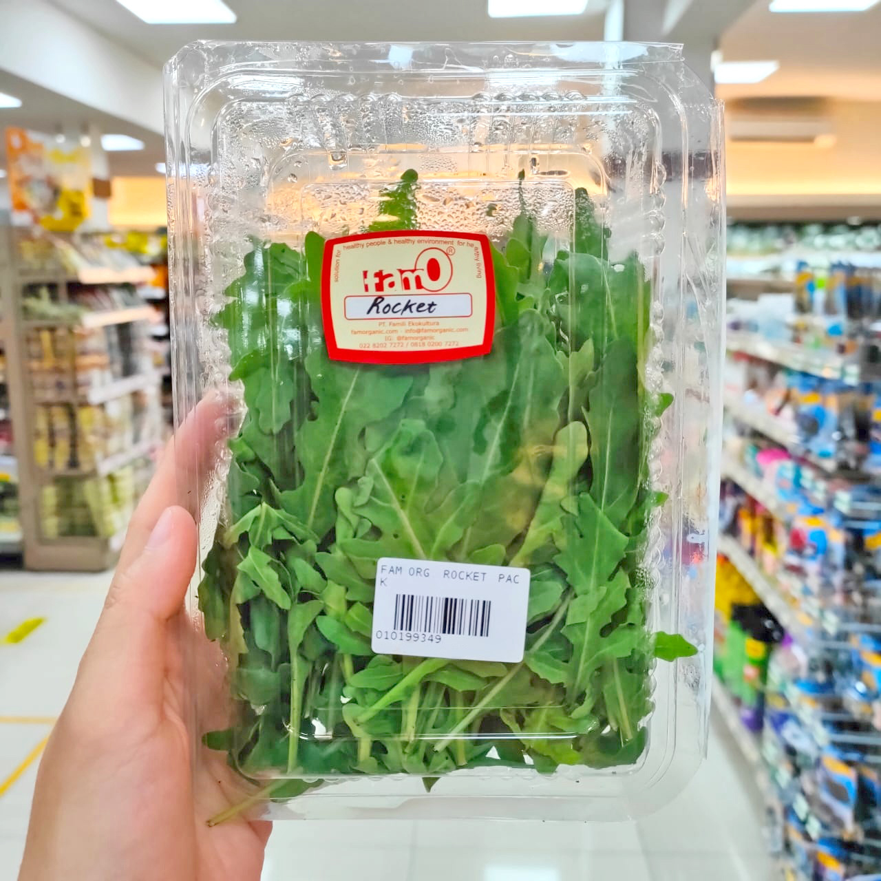 

FarmO Rocket / Sayur Daun Wild Rocket Organik Salad 50 Gram