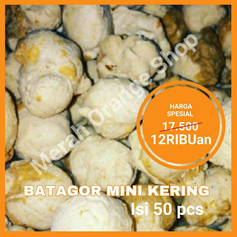 

Batagor Mini Kering Isi 50 Butir