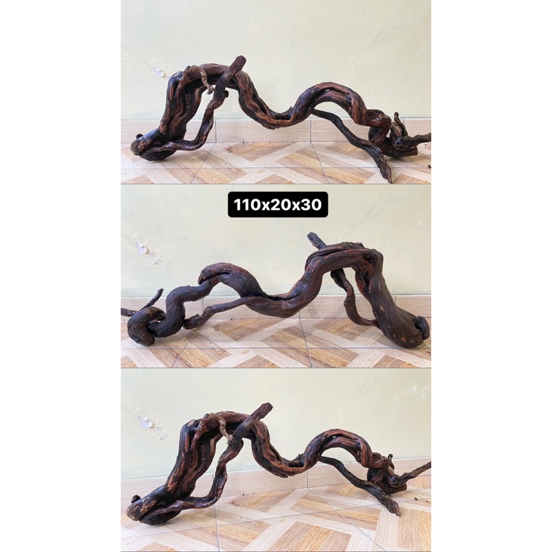 kayu santigi akaer santigi sentigi drif wood akar tenggelam kayu tenggelam hiasan aquatium chana aqu