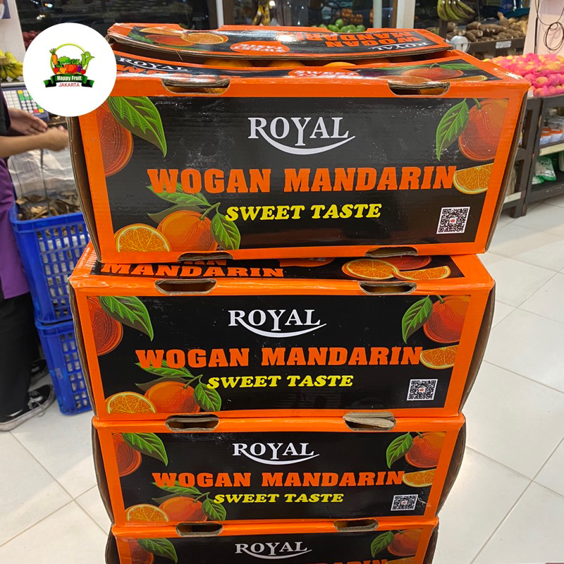 

Jeruk super manis | jeruk wokam manis | Buah jeruk wokam sweet Box 9kg