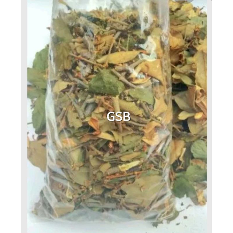 

BENALU KOPI KERING organik 1 kg herbal alami