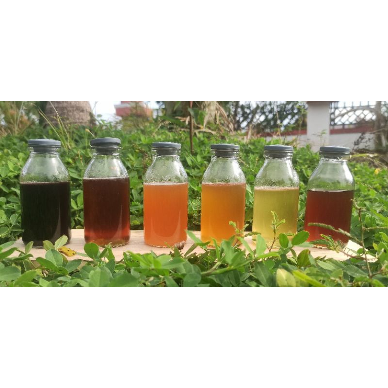 

Madu Kelulut Grosir Berat Bersih 10kg