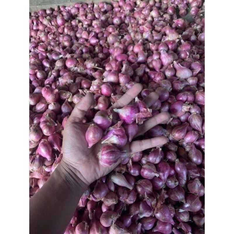 

bawang merah Brebes asli 250 g