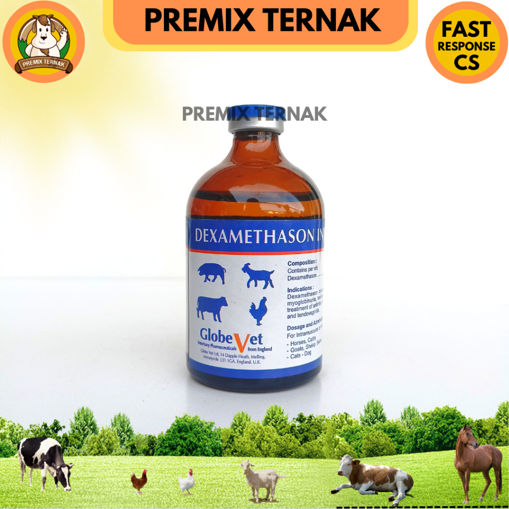 DEXA GLOBE VET 100 ml - DEXAMETHASON PANTEX HOLLAND