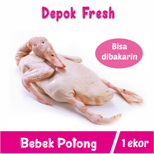

Bebek Potong Lokal Segar Bisa Dibakarin