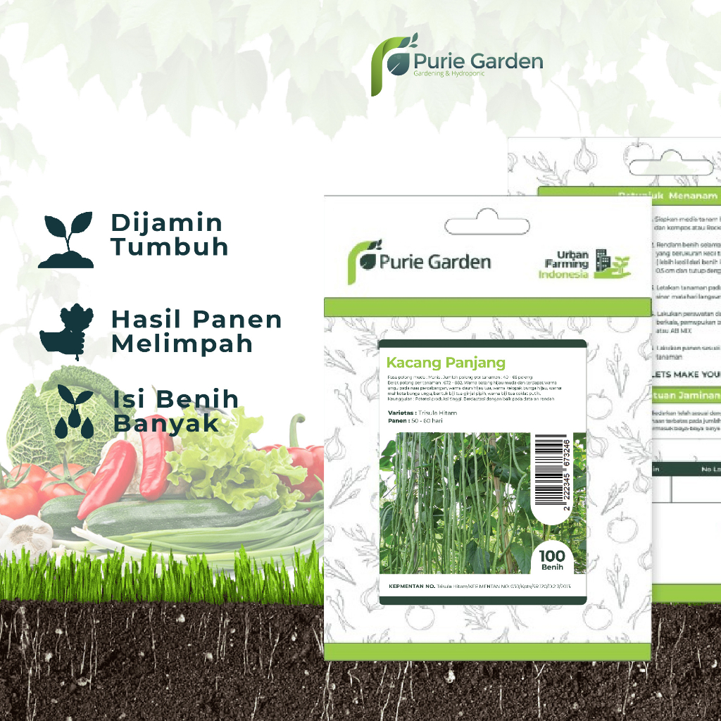 Bibit Benih Kacang Panjang Purie Garden 100 Benih PG SBY