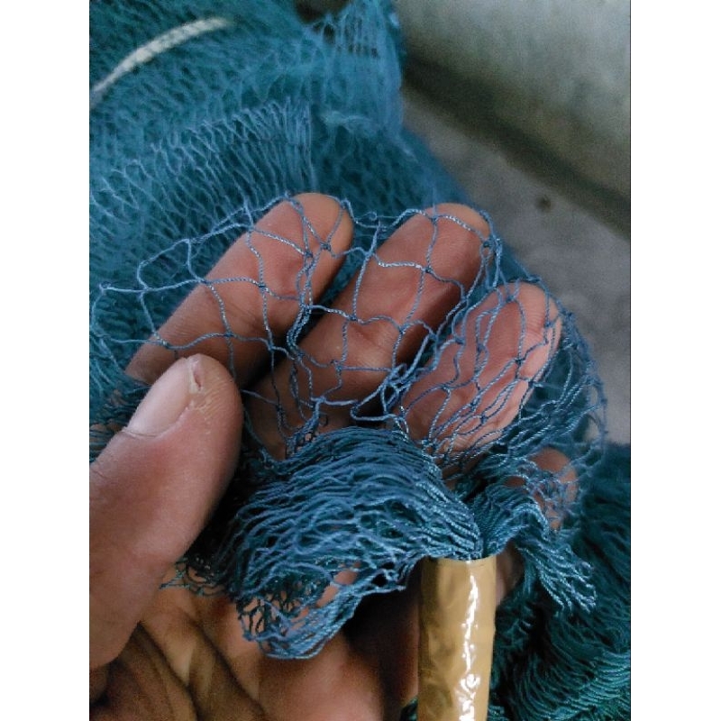 permeter jaring nilon 3/4 in d3 biru (1mtr x 100mata)