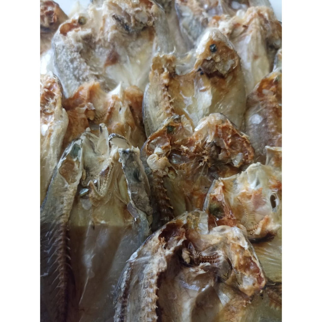 

Ikan Asin Montok Premium Oleh Oleh Khas Pangandaran