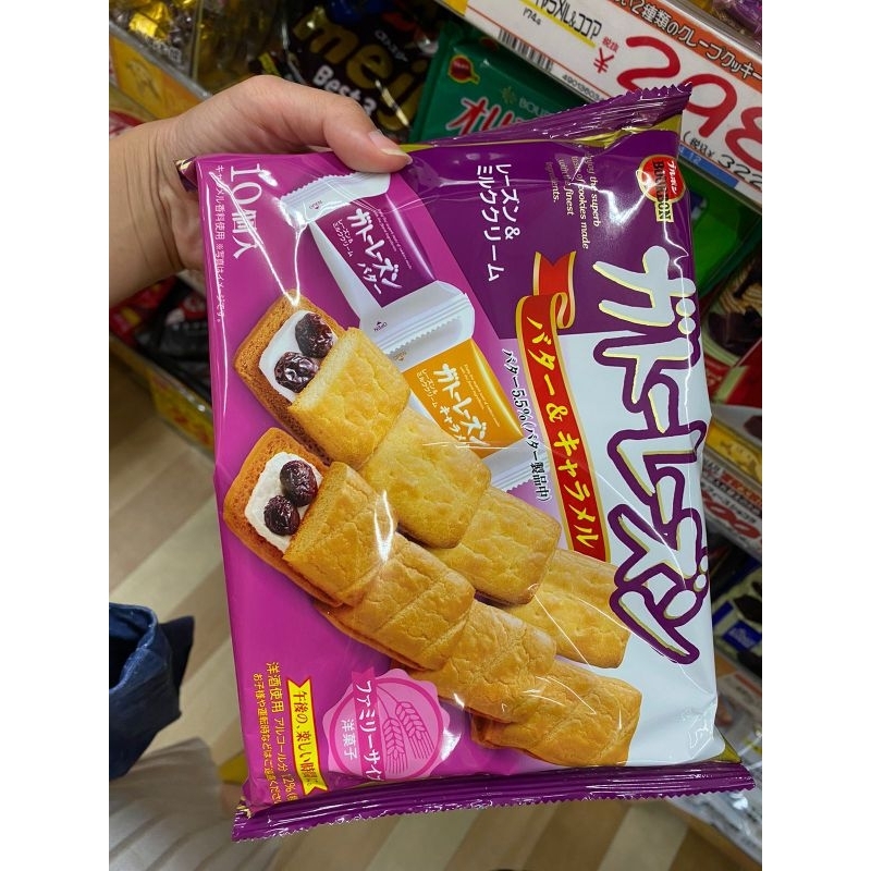 

Bourbon gateau kismis FS 10 buah dari Jepang