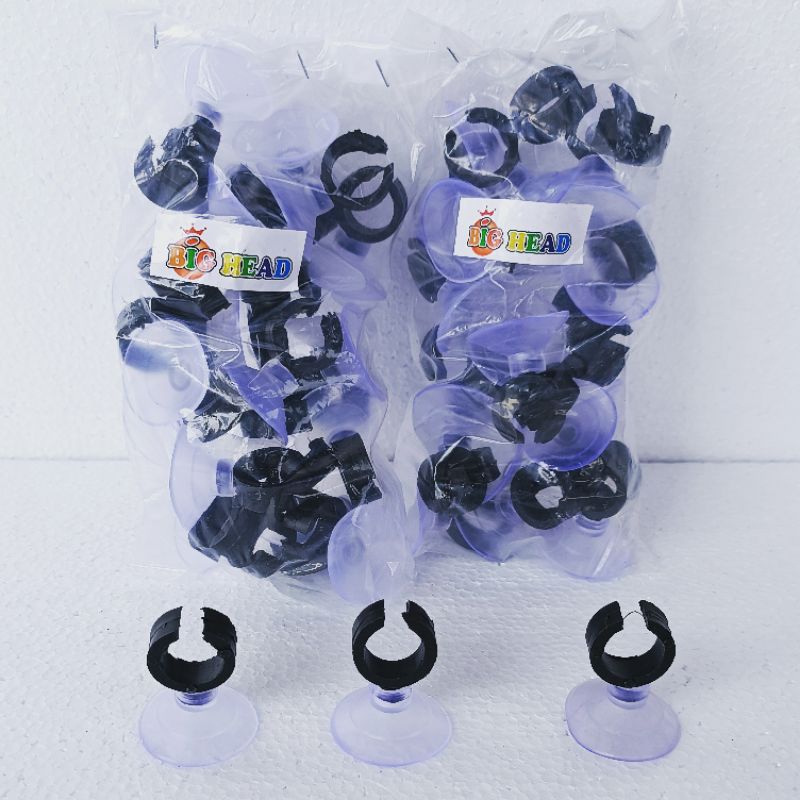 DOP PIPA AQUARIUM BIG HEAD cop pipa akuarium