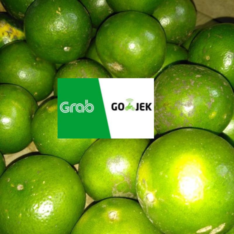 

Jeruk peras super 500 gram