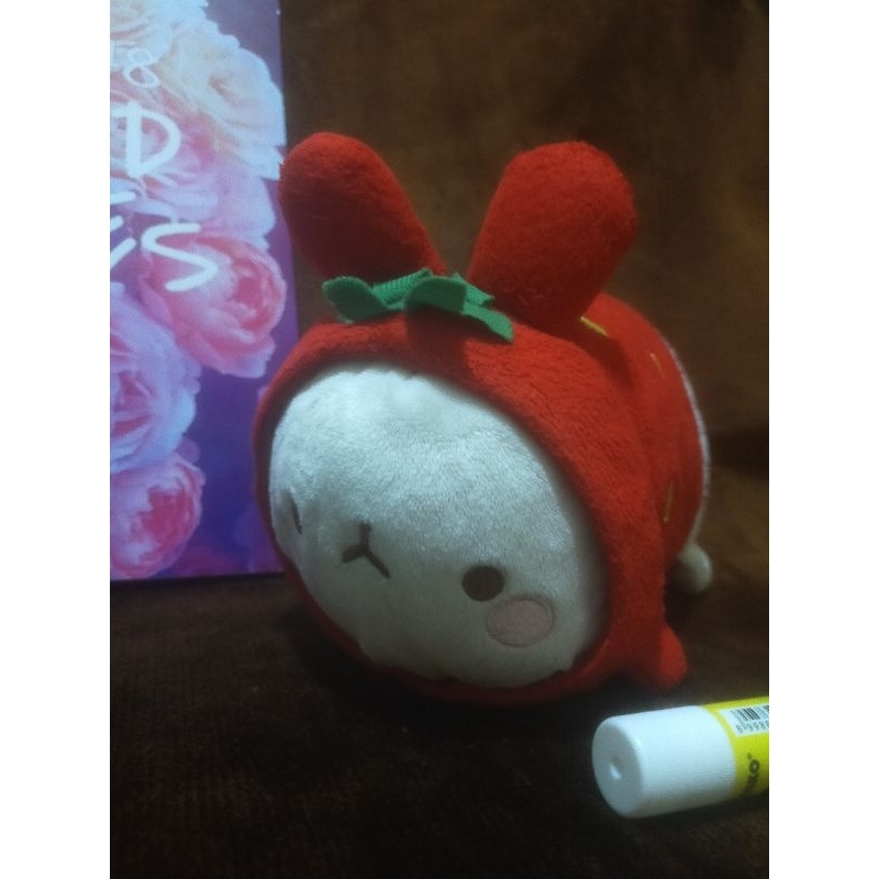 Boneka Molang Original