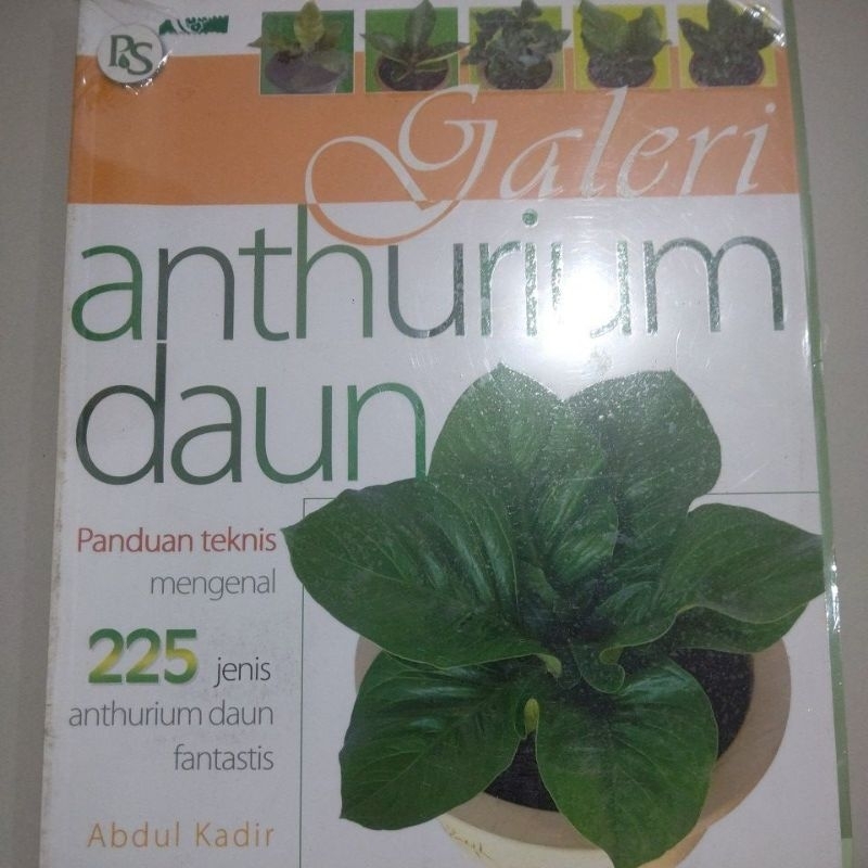 

BUKU GALERI ANTURIUM DAUN