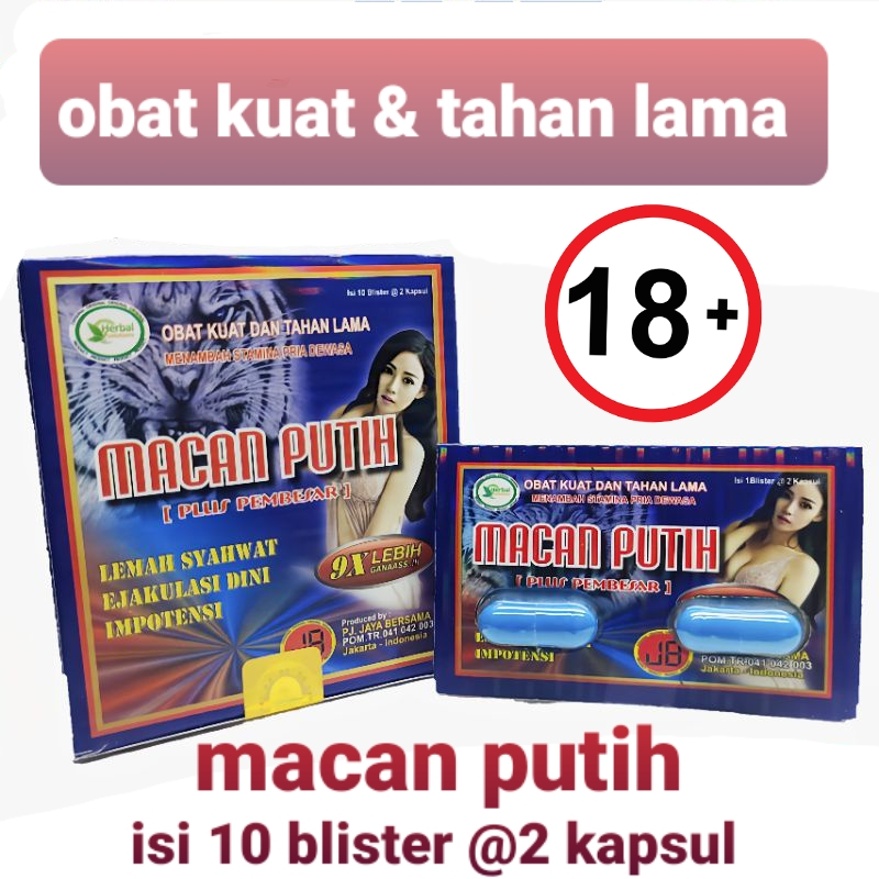 MACAN PUTIH KAPSUL Original Obat Herbal Pria Bikin Kuat Tahan Lama 1 Box Isi 10 blister / sachet Ber
