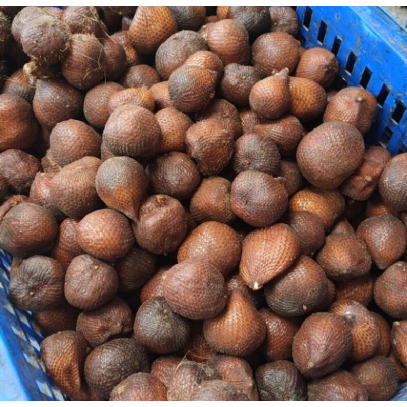 

Salak Gula Pasir Manis Mantap Super Promo 1 Kg