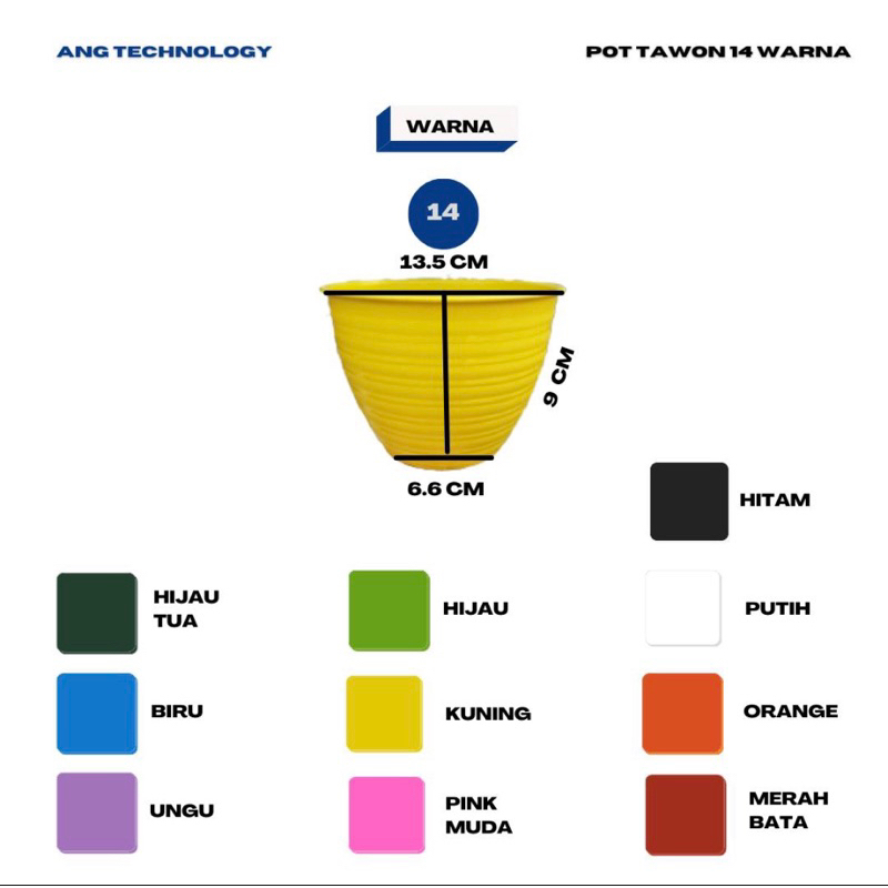 Pot Bunga Tawon Putih 14 cm WARNA - WARNI ANG Tanaman Termurah se-Indonesia