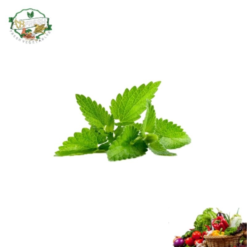 

daun mint 1ikat 65gram