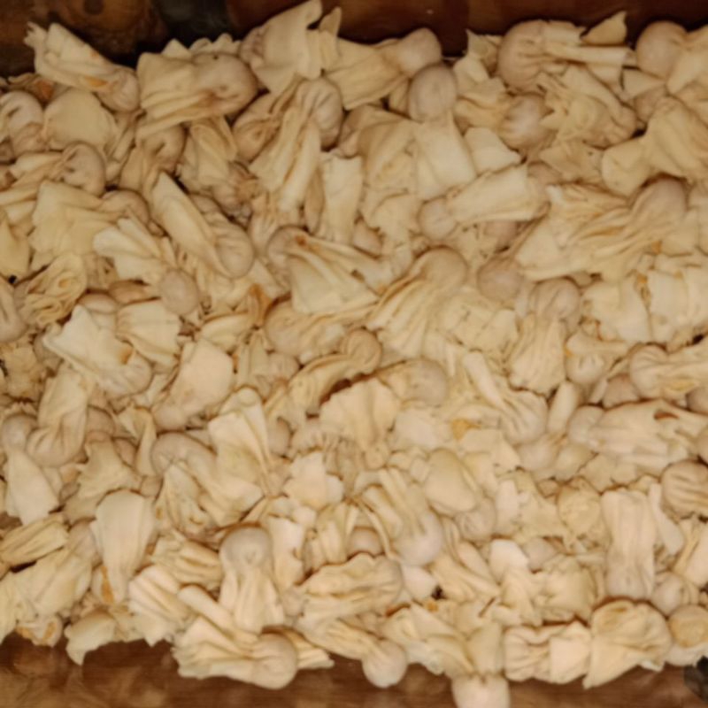 

EKADO ( Pangsit Ekado) 250 g
