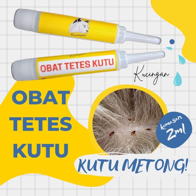 OBAT TETES KUTU Kucingan Obat Pembasmi Kutu Kucing Anjing